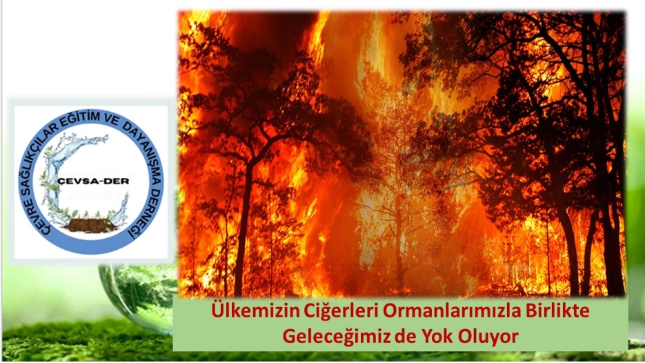 Ülkemizin Ciğerleri Ormanlarımızla Birlikte Geleceğimiz de Yok Oluyor