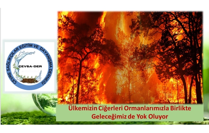 Ülkemizin Ciğerleri Ormanlarımızla Birlikte Geleceğimiz de Yok Oluyor